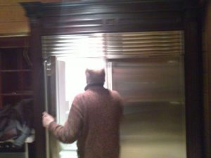 Установка холодильников Subzero